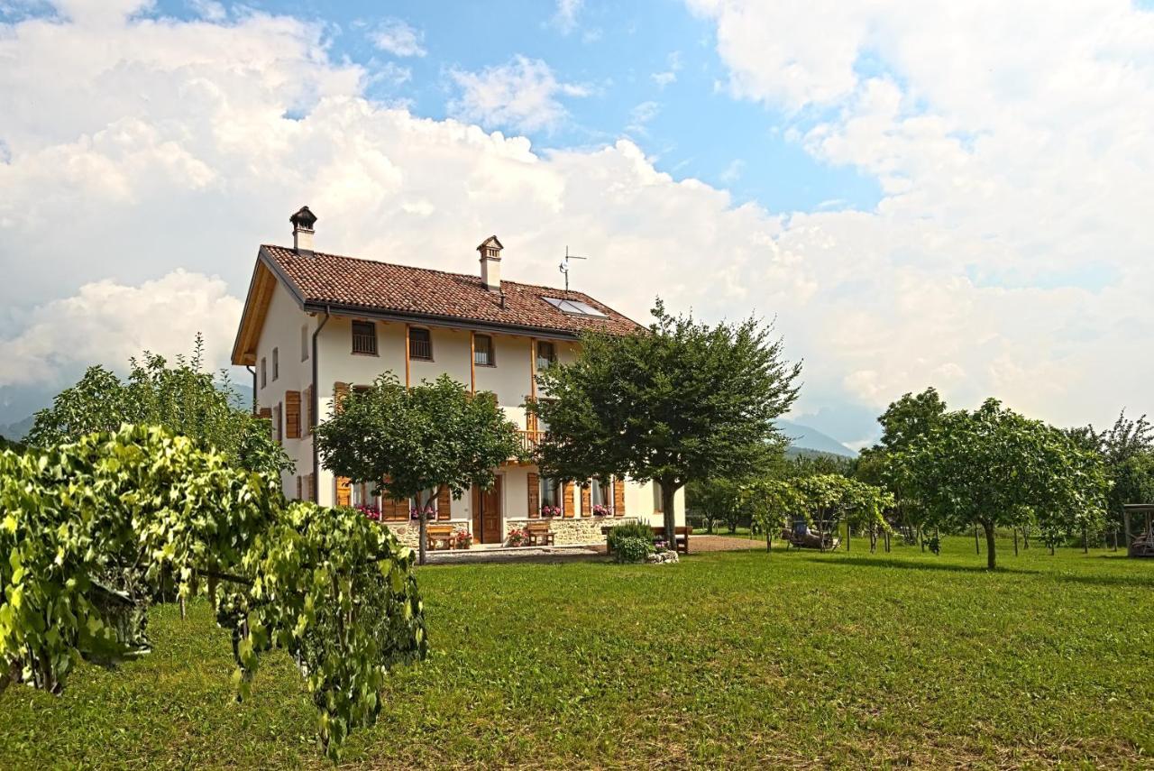 Lioelara Guest house Feltre